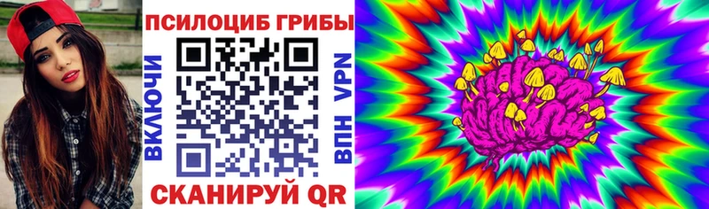 купить  цена  Усть-Лабинск  Галлюциногенные грибы мухоморы 