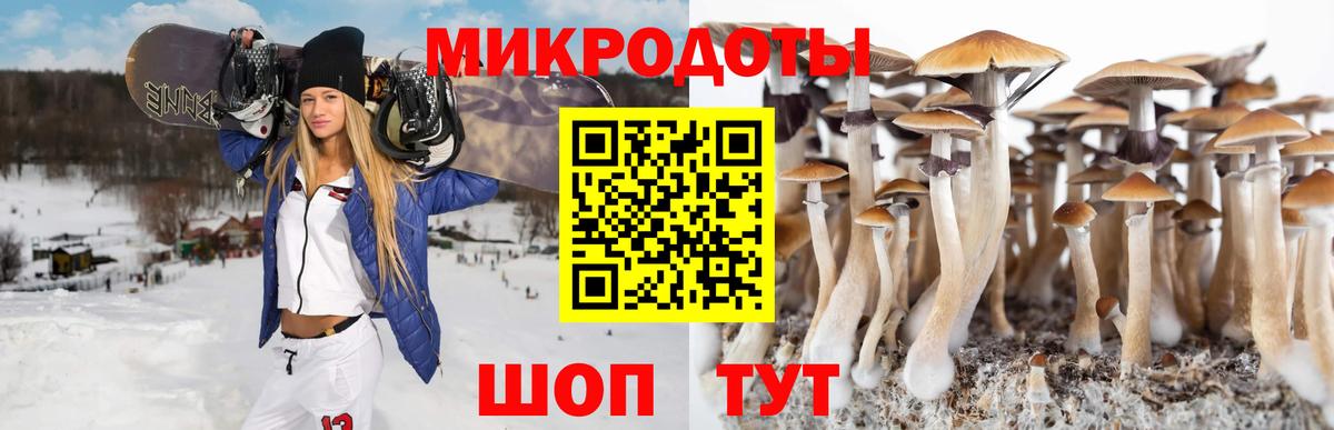 Усть-Лабинск  Псилоцибиновые грибы MAGIC MUSHROOMS  Вход с VPN 